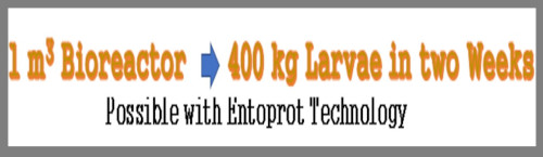 http://www.entoprot.com/wp-content/uploads/2020/01/Marketing_statement_small.jpg